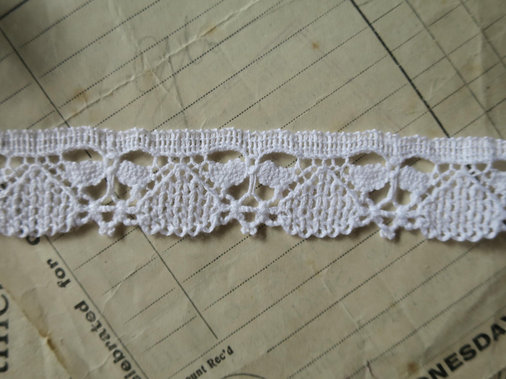 Off White English Nottingham Cluny Lace- Dragonflies & Cartouches- 2.3 cm