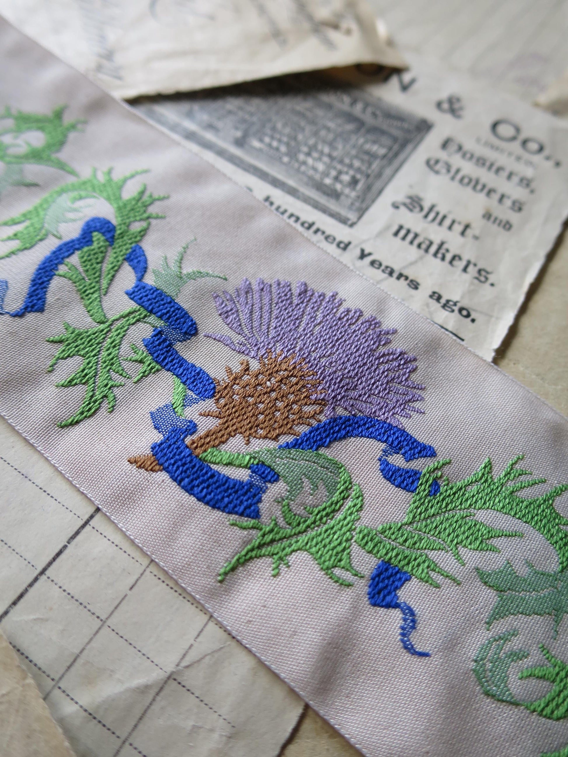 Scottish Thistles 50 mm Jacquard Woven Ribbon- Buff & Bright