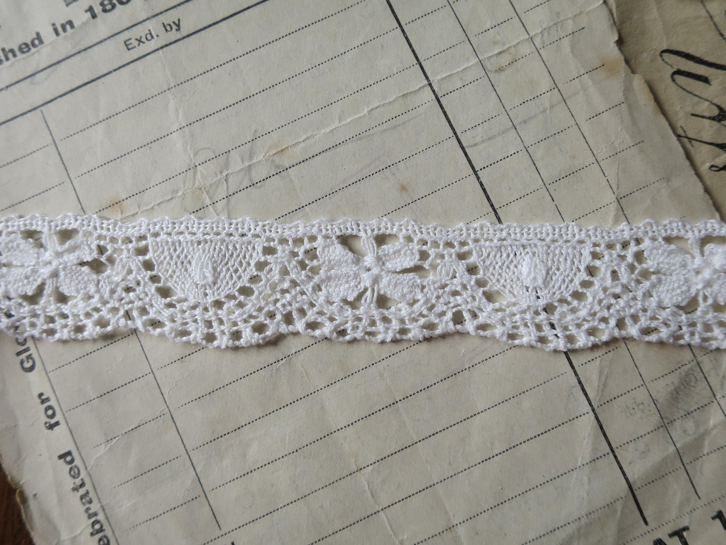Off White English Nottingham Cluny Lace- Butterflies & Cartouches- 2.3 cm