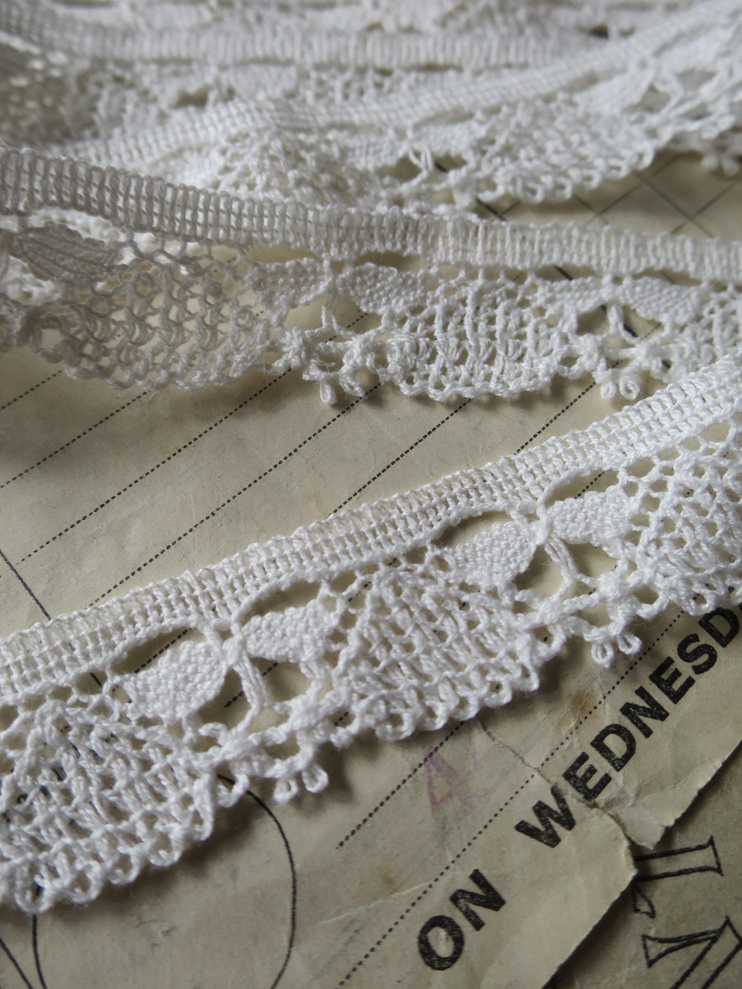 White English Nottingham Cluny Lace- Dragonflies & Cartouches- 2.3 cm