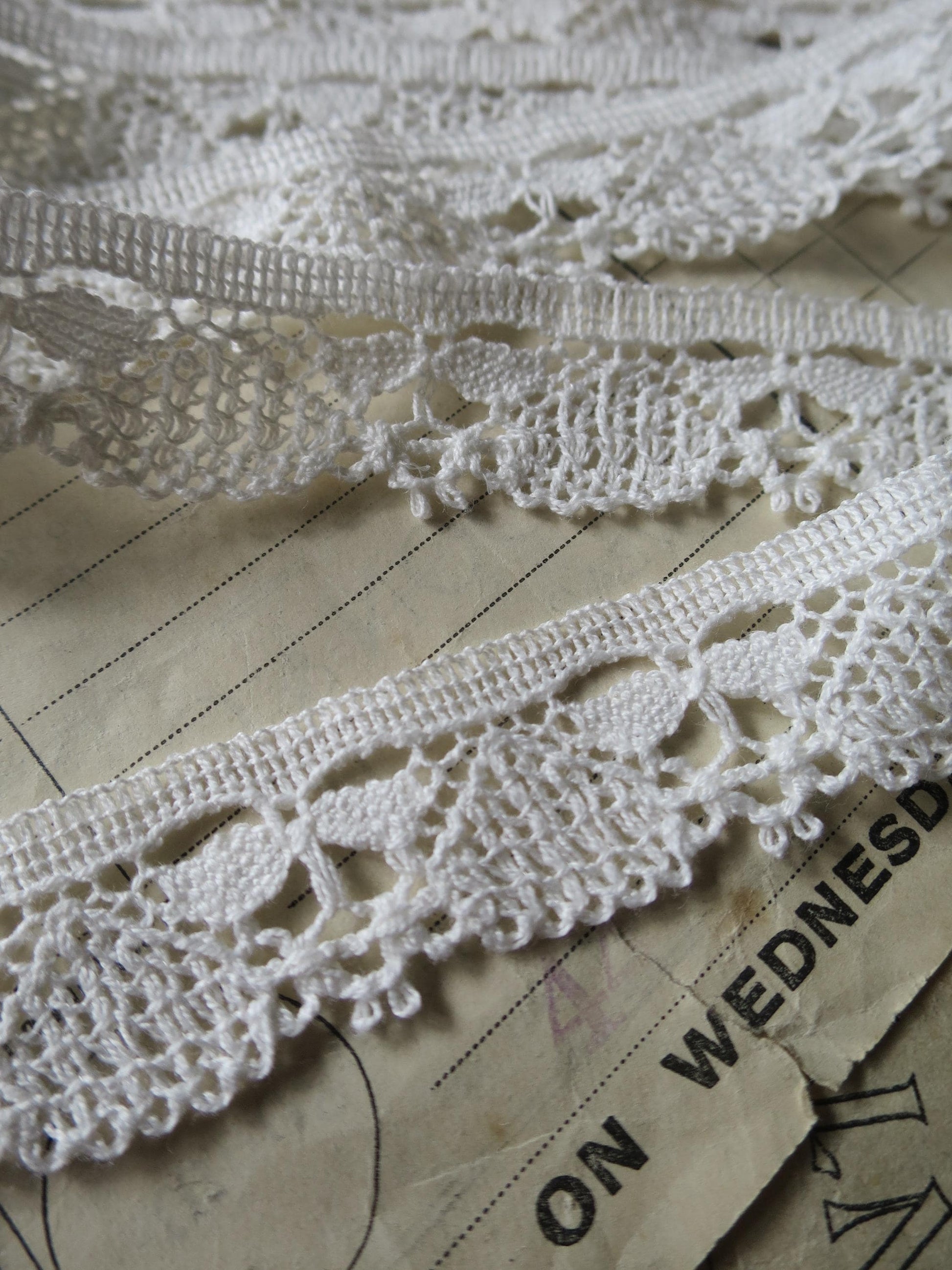 White English Nottingham Cluny Lace- Dragonflies & Cartouches- 2.3 cm