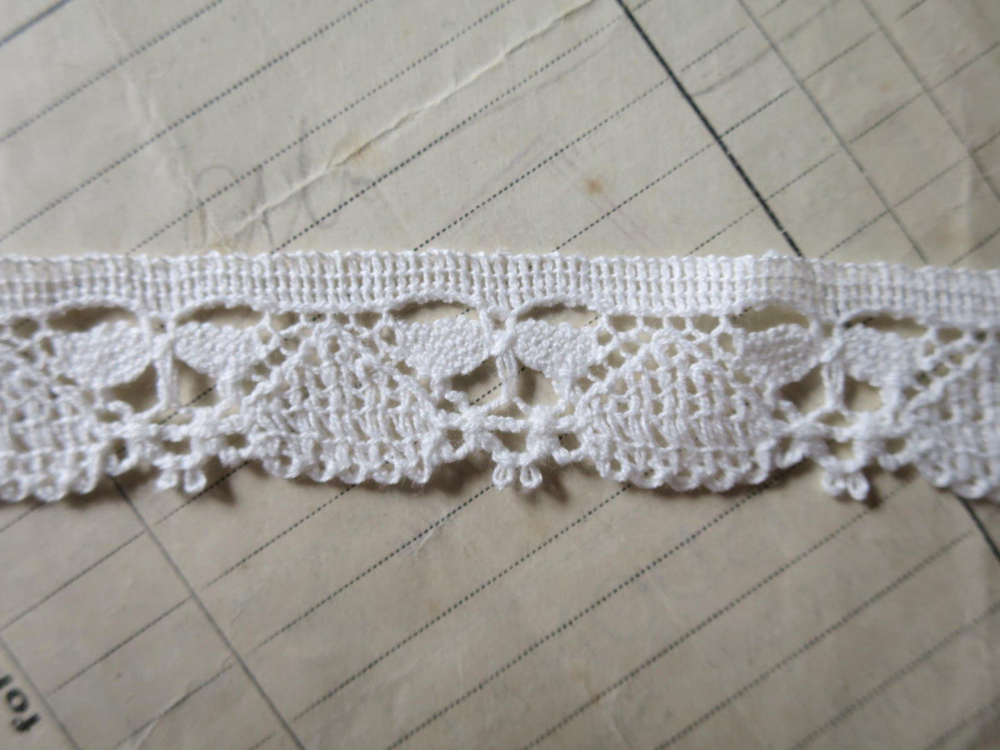 White English Nottingham Cluny Lace- Dragonflies & Cartouches- 2.3 cm