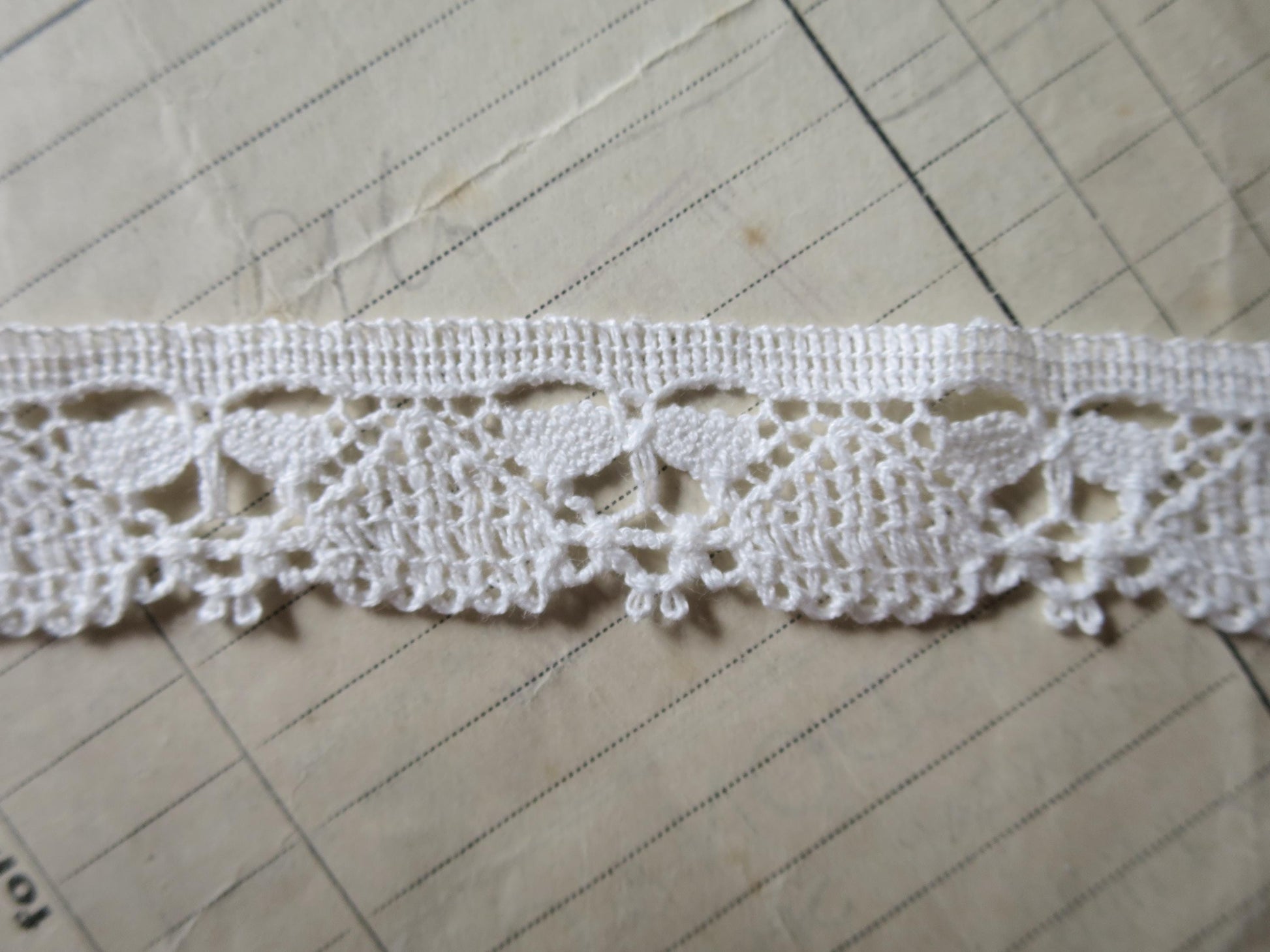 White English Nottingham Cluny Lace- Dragonflies & Cartouches- 2.3 cm