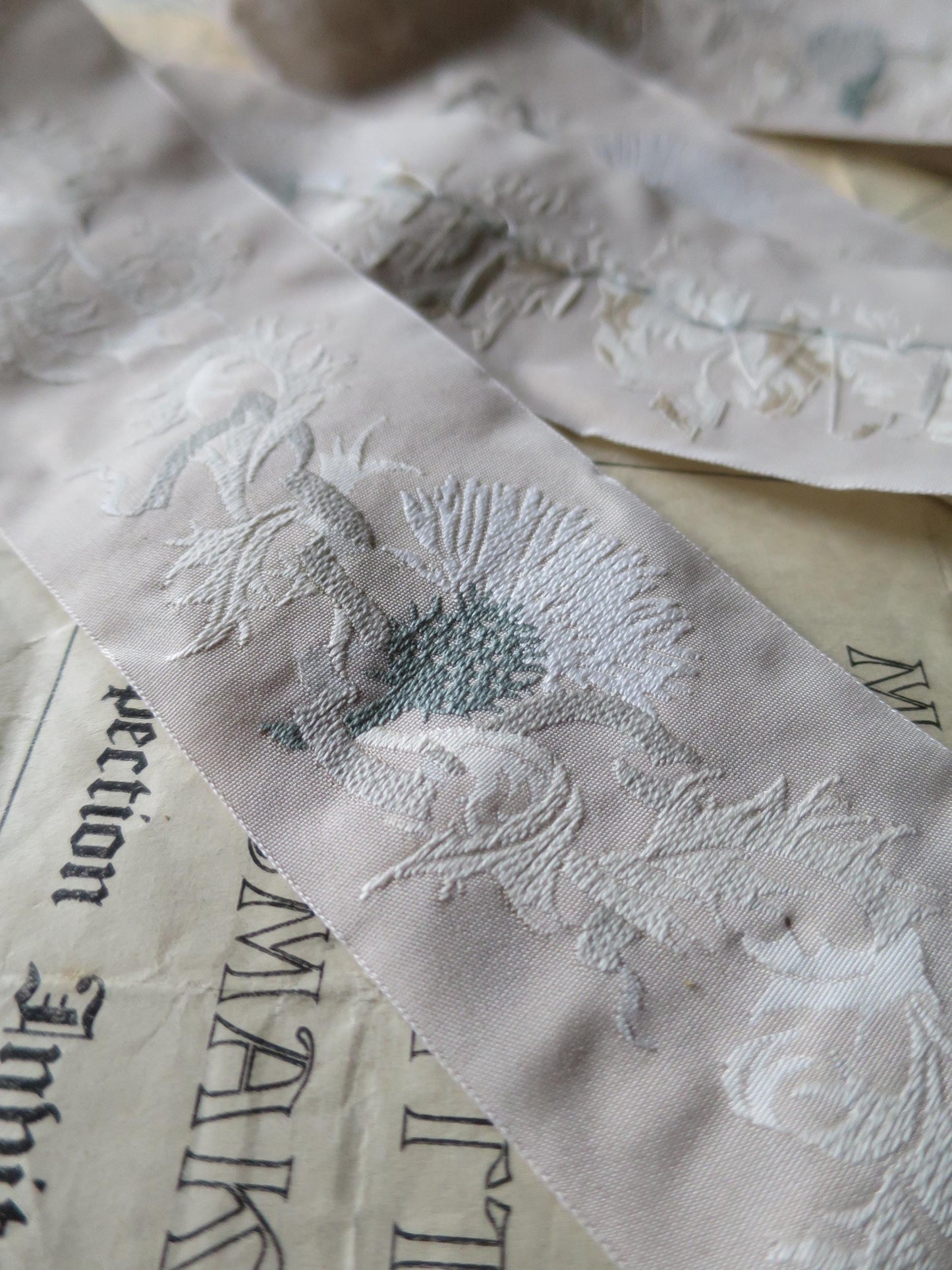 Scottish Thistles 50 mm Jacquard Woven Ribbon- Beige