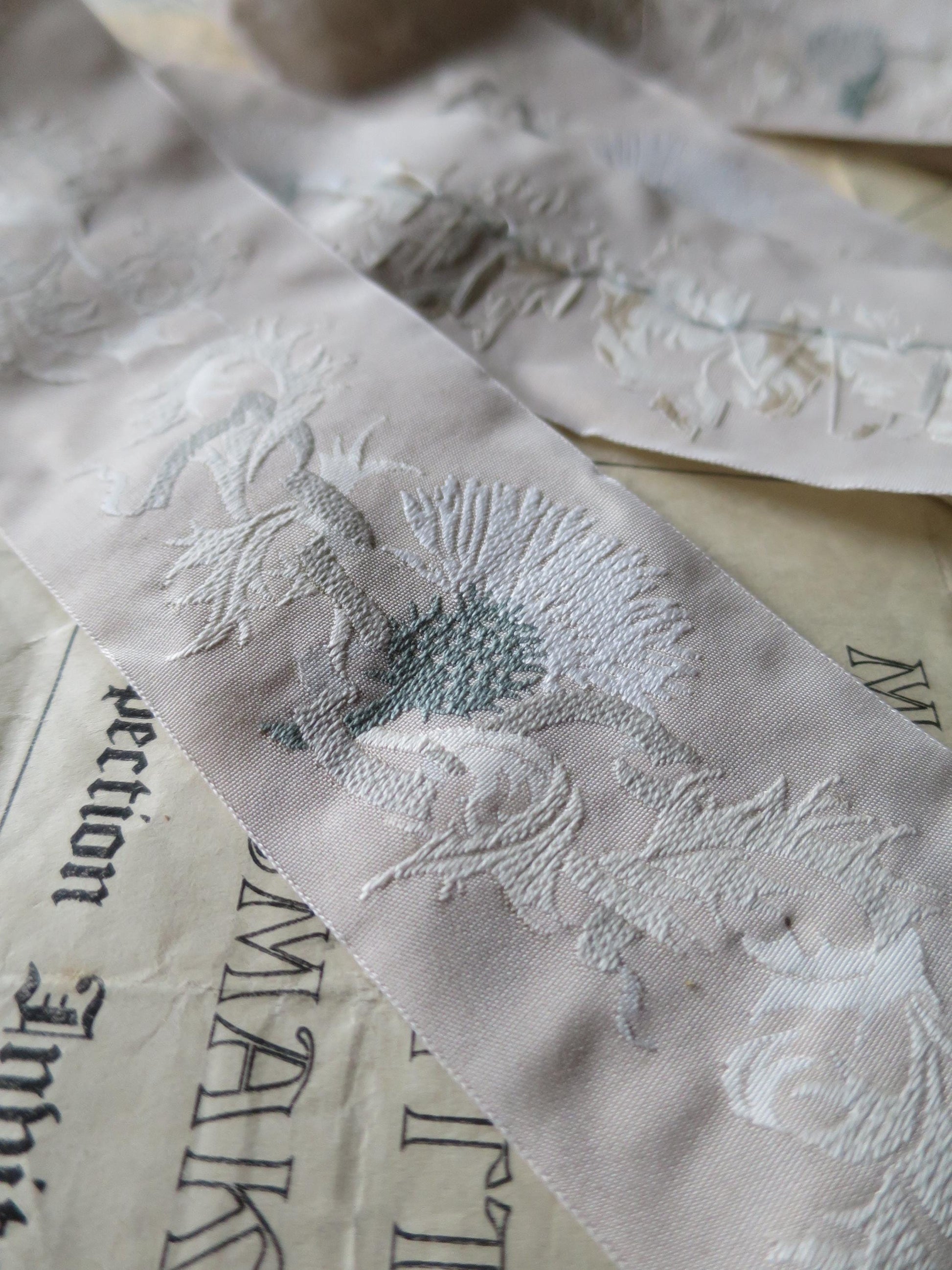 Scottish Thistles 50 mm Jacquard Woven Ribbon- Beige