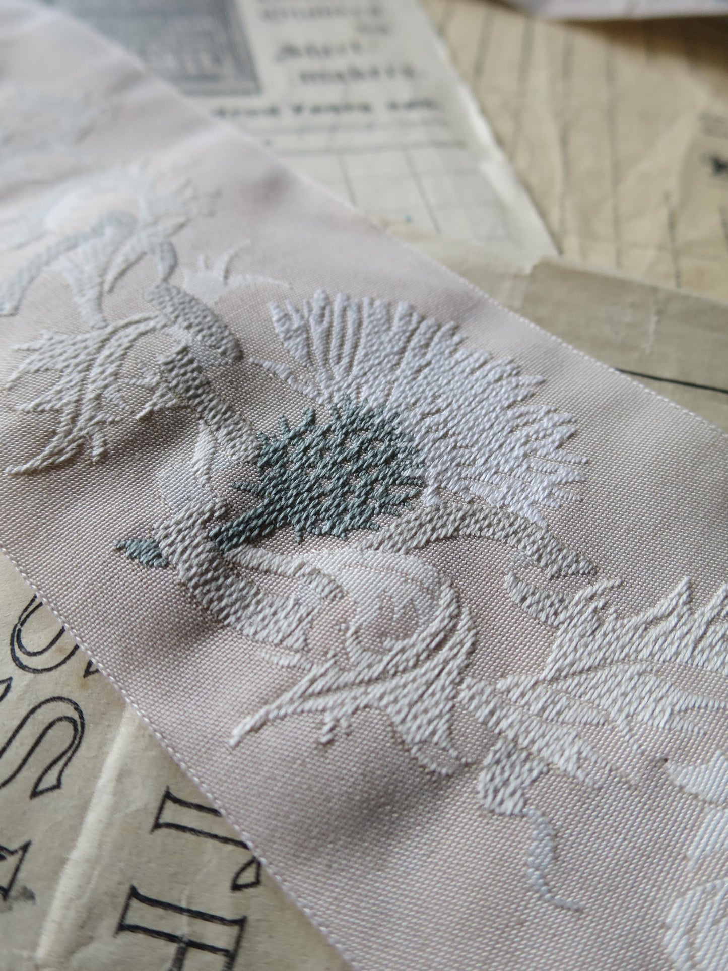 Scottish Thistles 50 mm Jacquard Woven Ribbon- Beige