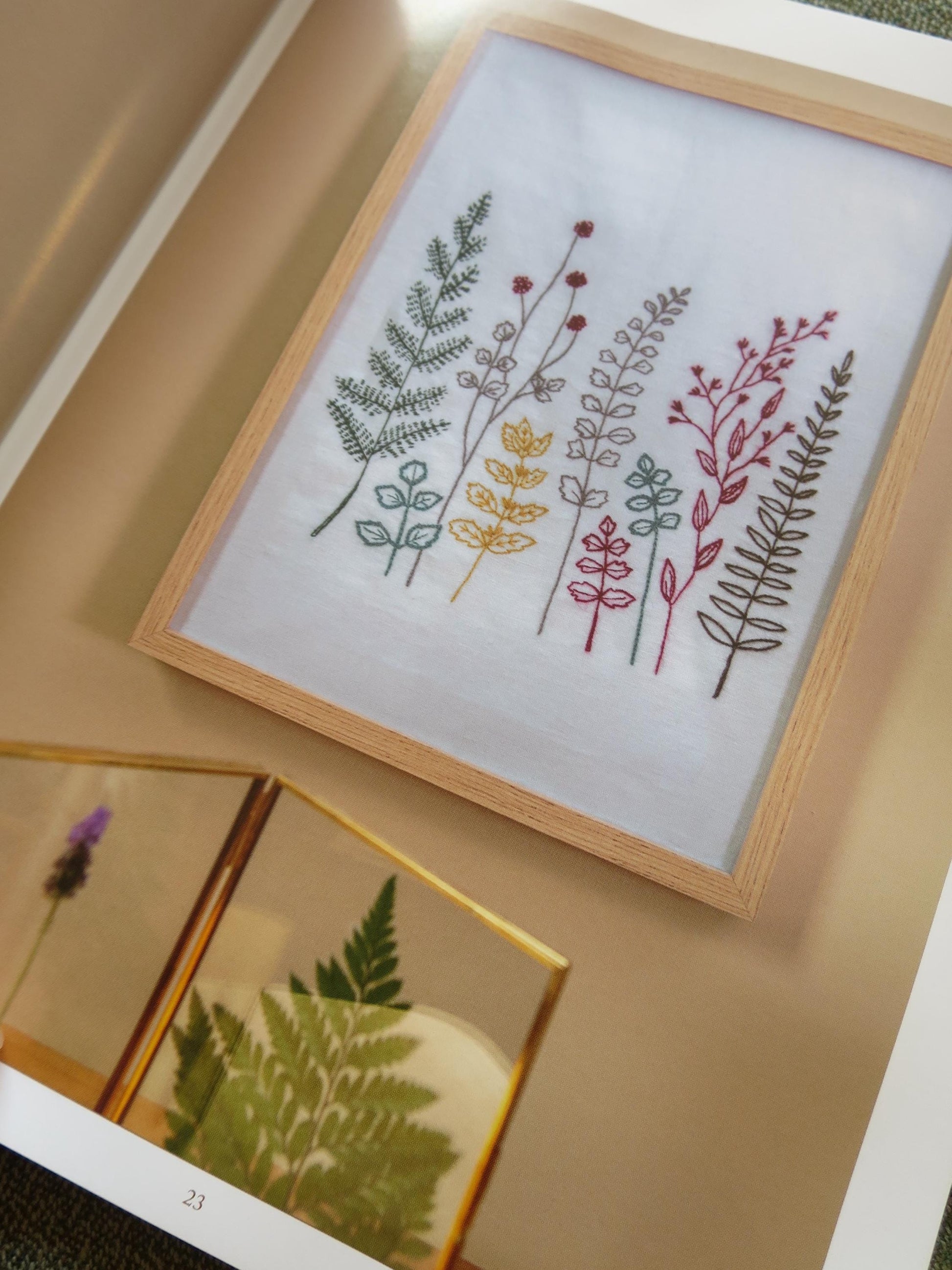 DMC The Botanists Cabinet- Eco Vita