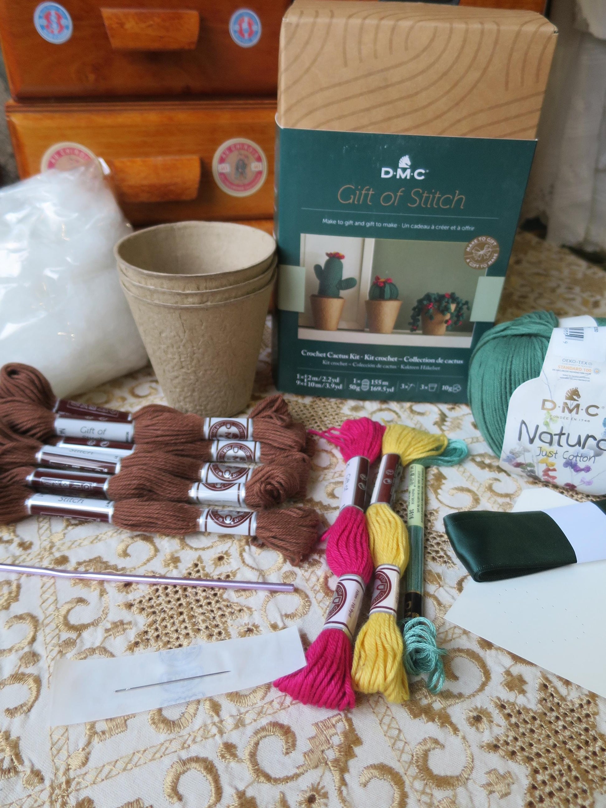 Crochet Cactus Kit- The Gift of Stitch DMC