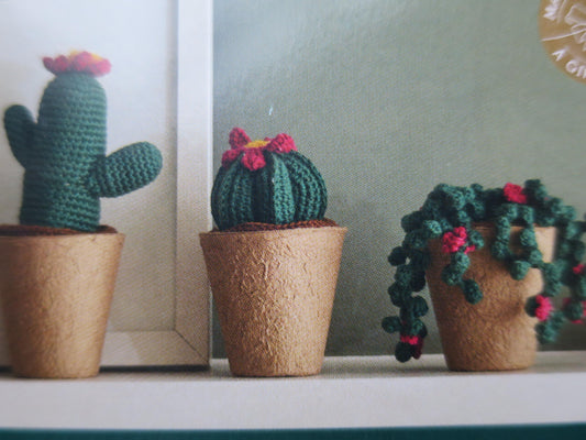 Crochet Cactus Kit- The Gift of Stitch DMC
