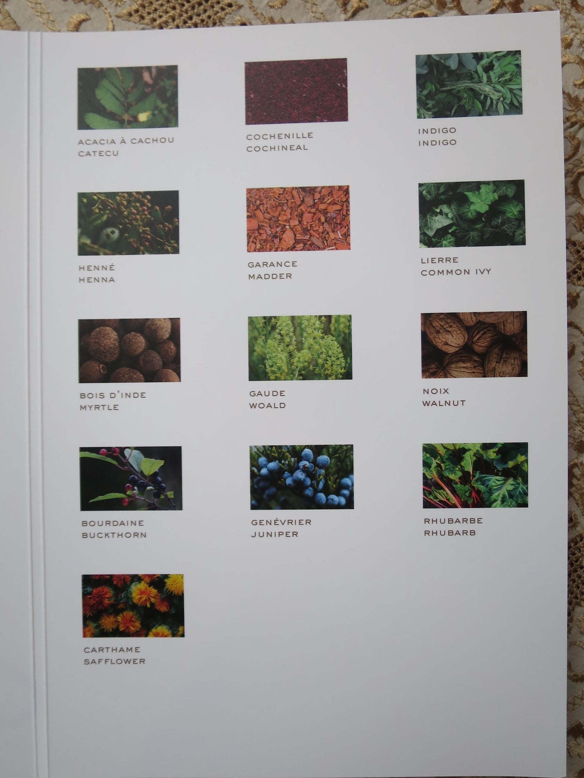 DMC Eco Vita Naturally Dyed Embroidery Thread Shade Card