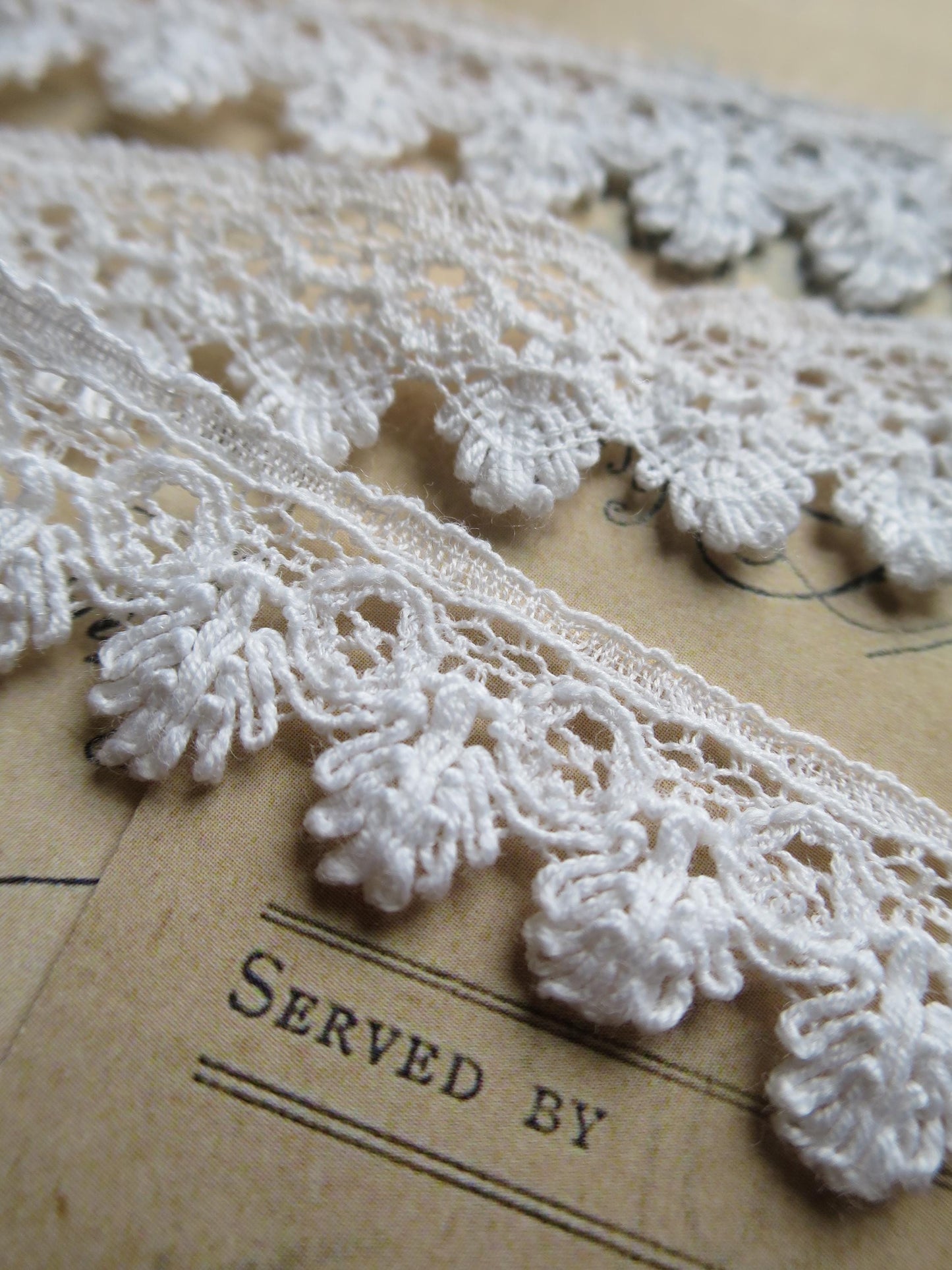 English Nottingham Lace- Bucks Fans- 1.8 cm