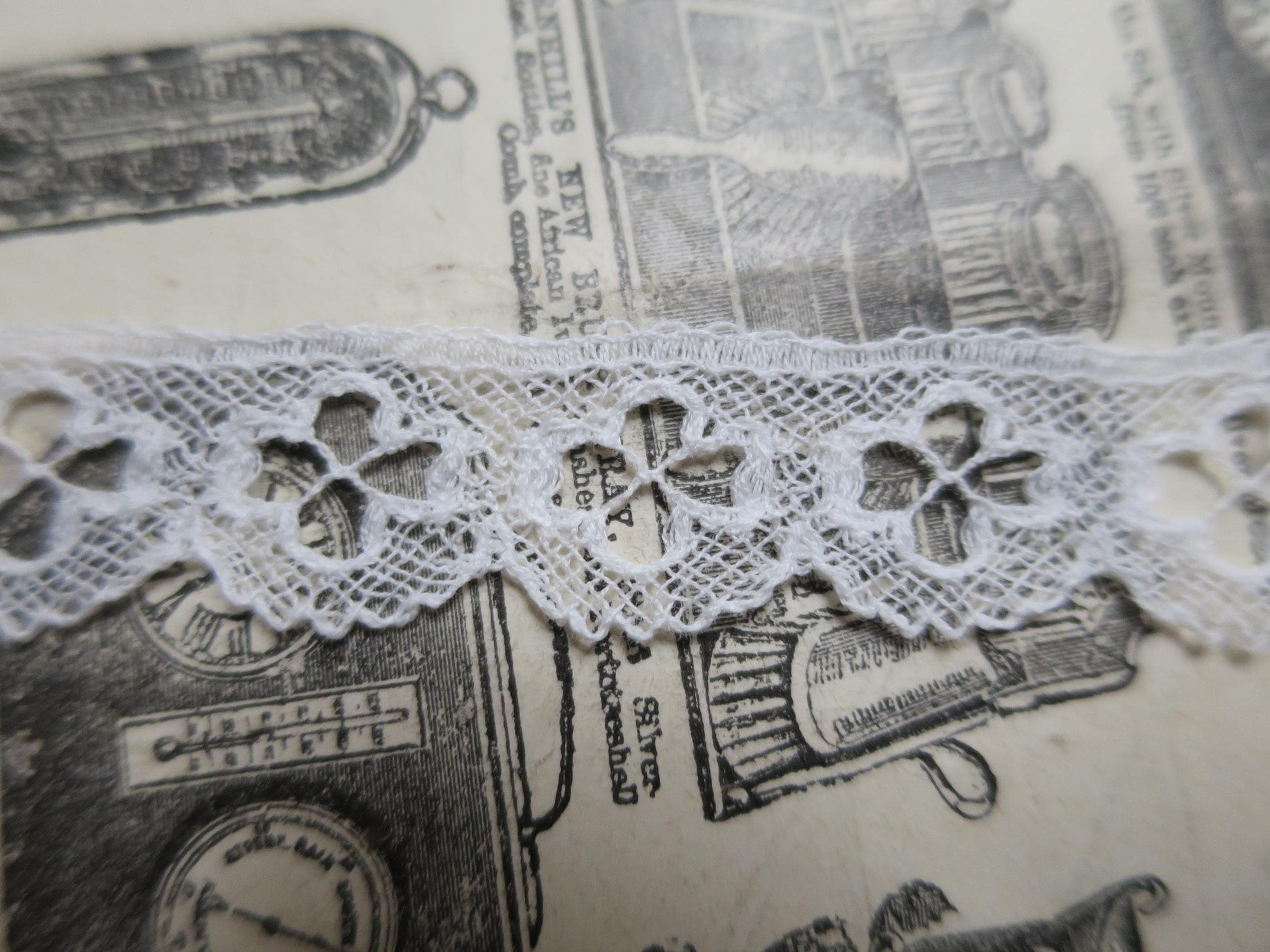 Off White English Nottingham Lace- Bucks Point Clover Eyelets- 1.7 cm