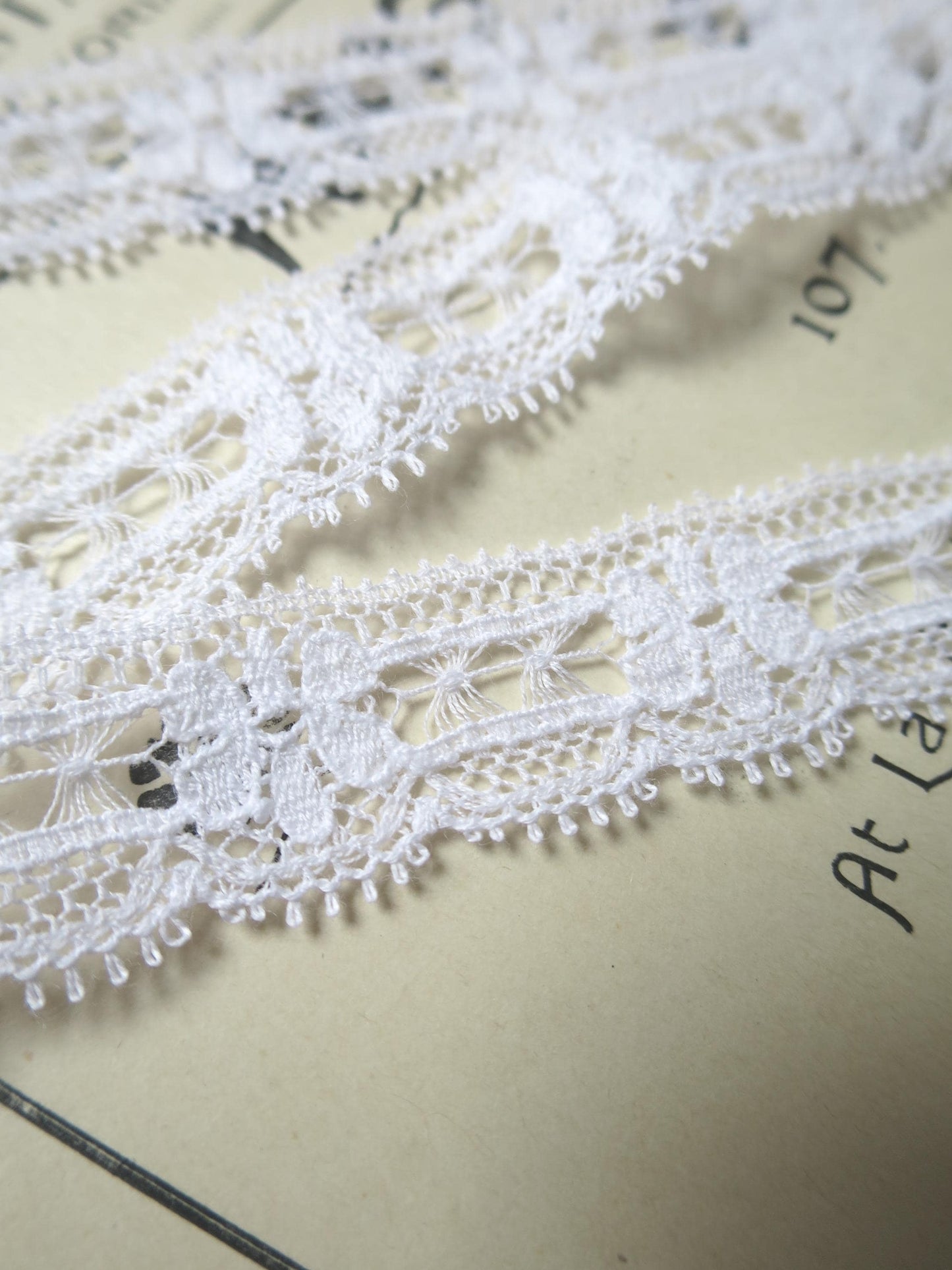 White English Nottingham Lace- Floral & Openwork Point Lace- 1.7 cm