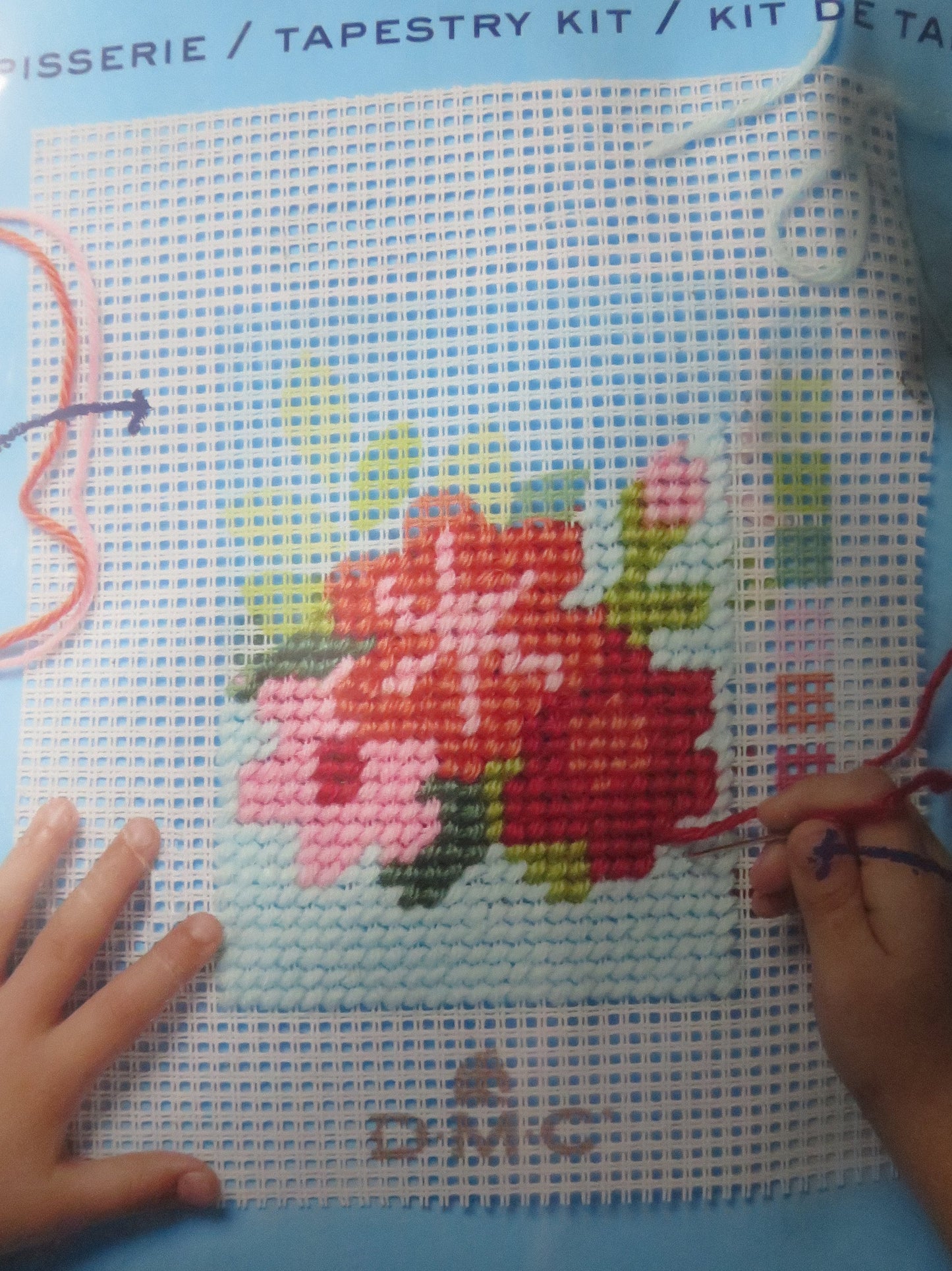 DMC Children's I Can Stitch Tapestry Kit- Texan Flowers