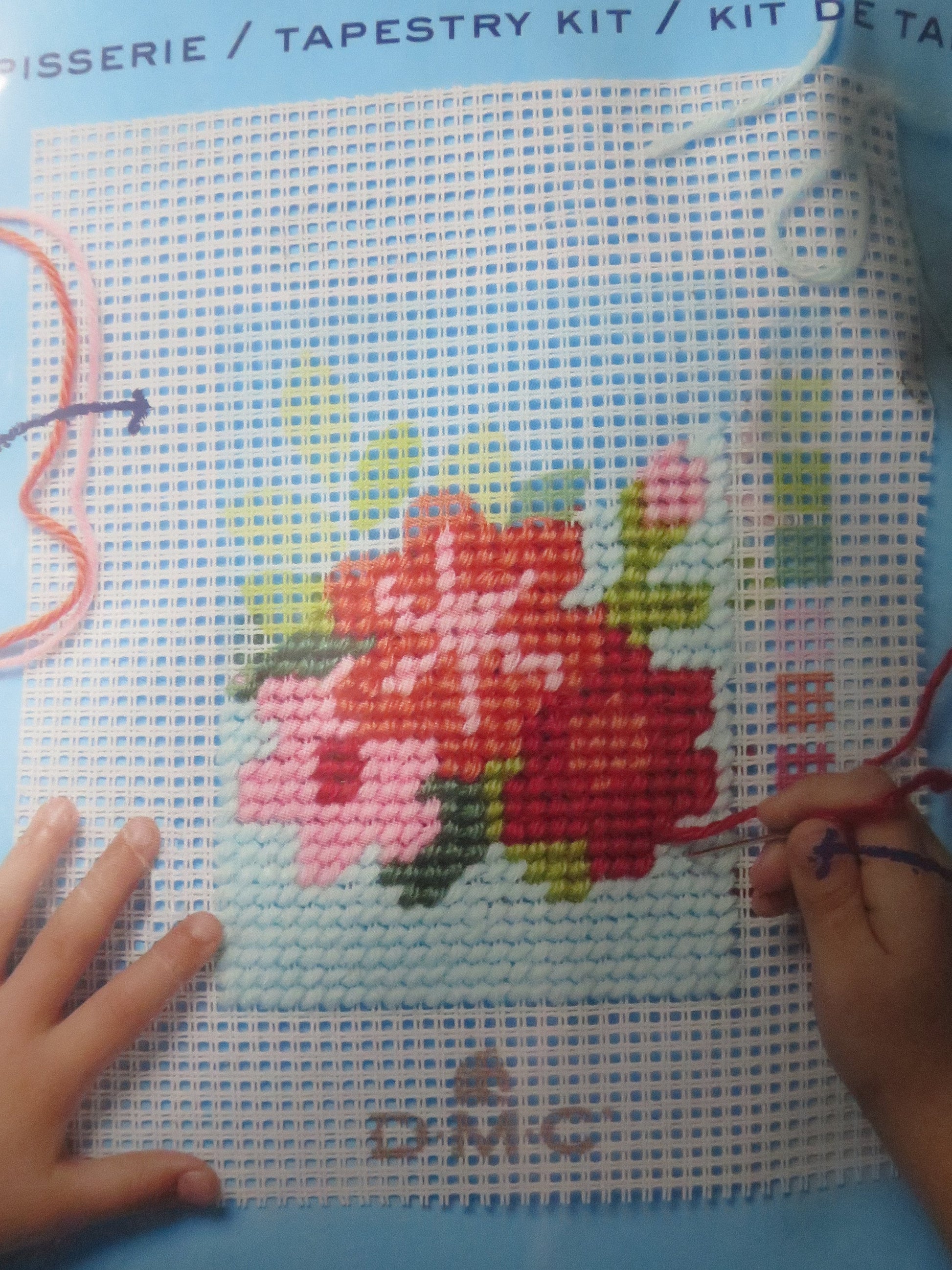 DMC Children's I Can Stitch Tapestry Kit- Texan Flowers